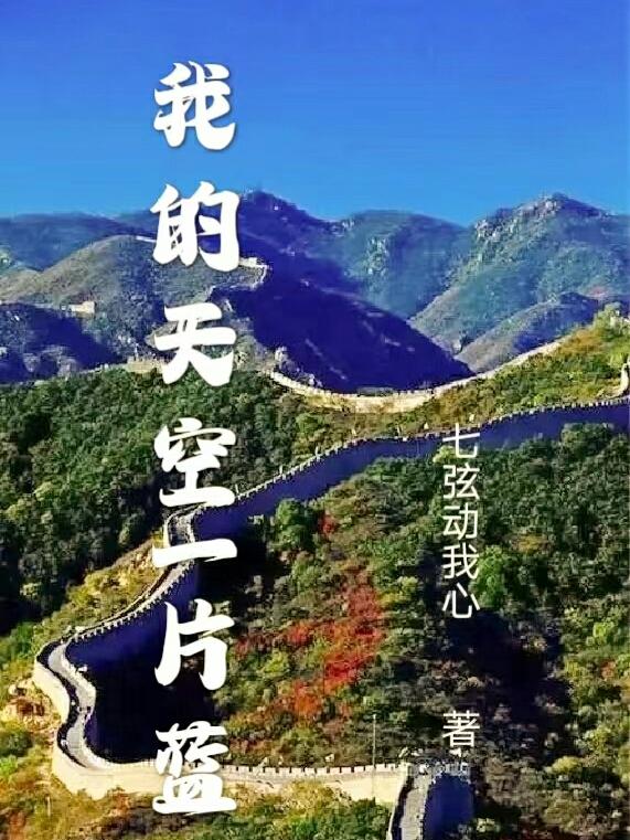 �ҵ����һƬ��