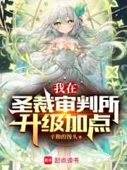 ����ʥ�������������ӵ�