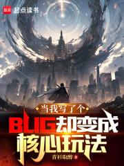 ����д�˸�BUGȴ��ɺ����淨